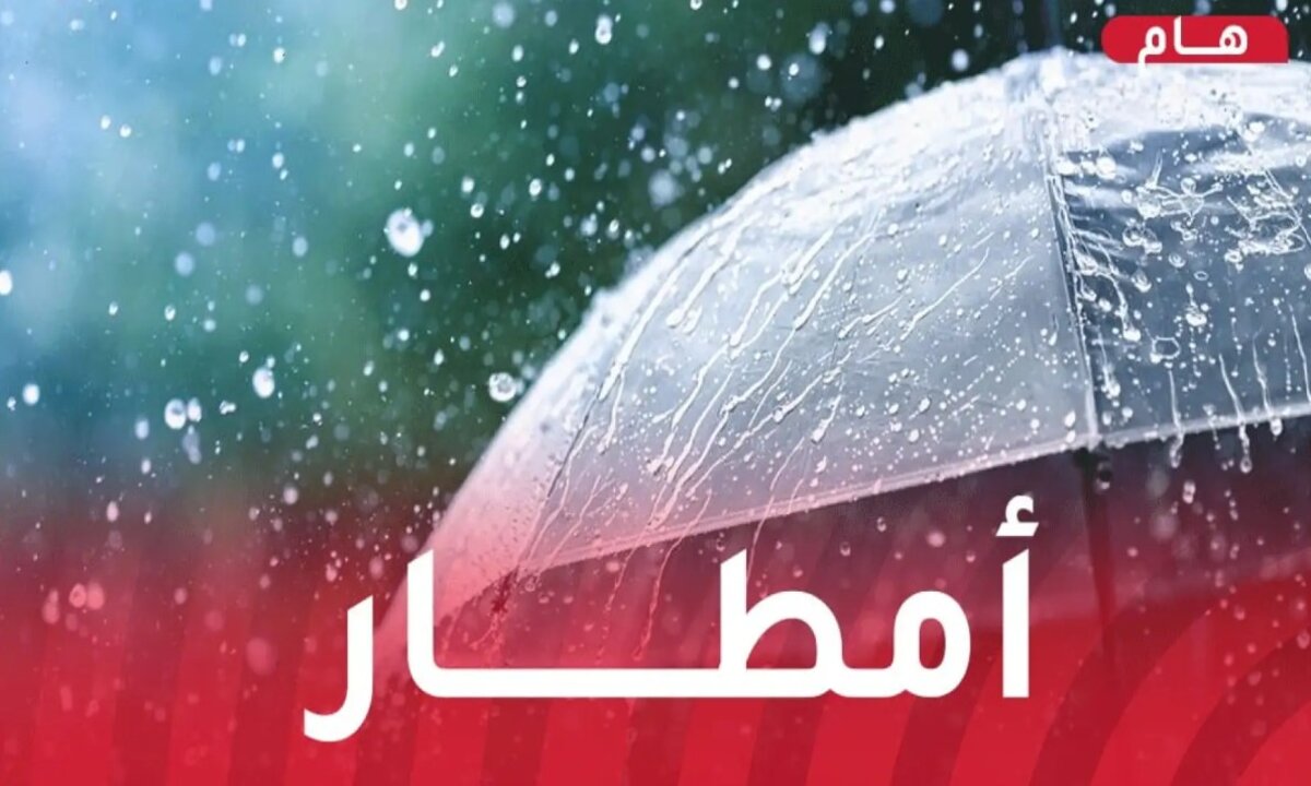 هام للجزائريين.. تحذير من طقس غدًا السبت