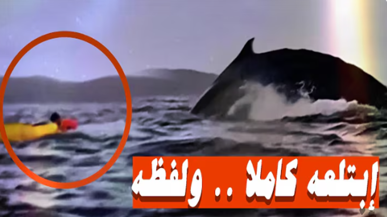 لقطة شاشة 2025 02 17 221207