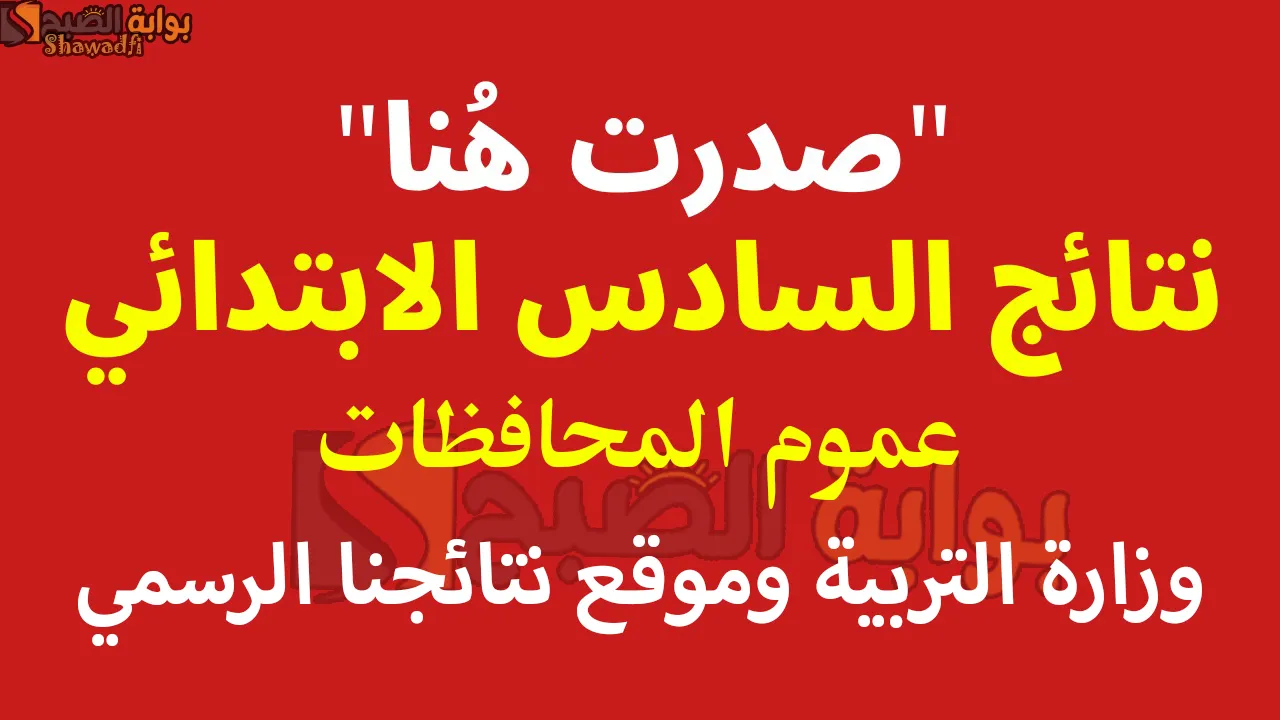 لينك نتائج التمهيدي السادس الابتدائي 2025 وزارة التربية وموقع نتائجنا لعموم المحافظات فور ظهورها