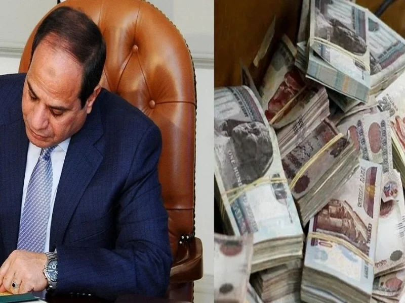 مم 1 1 800x600 1