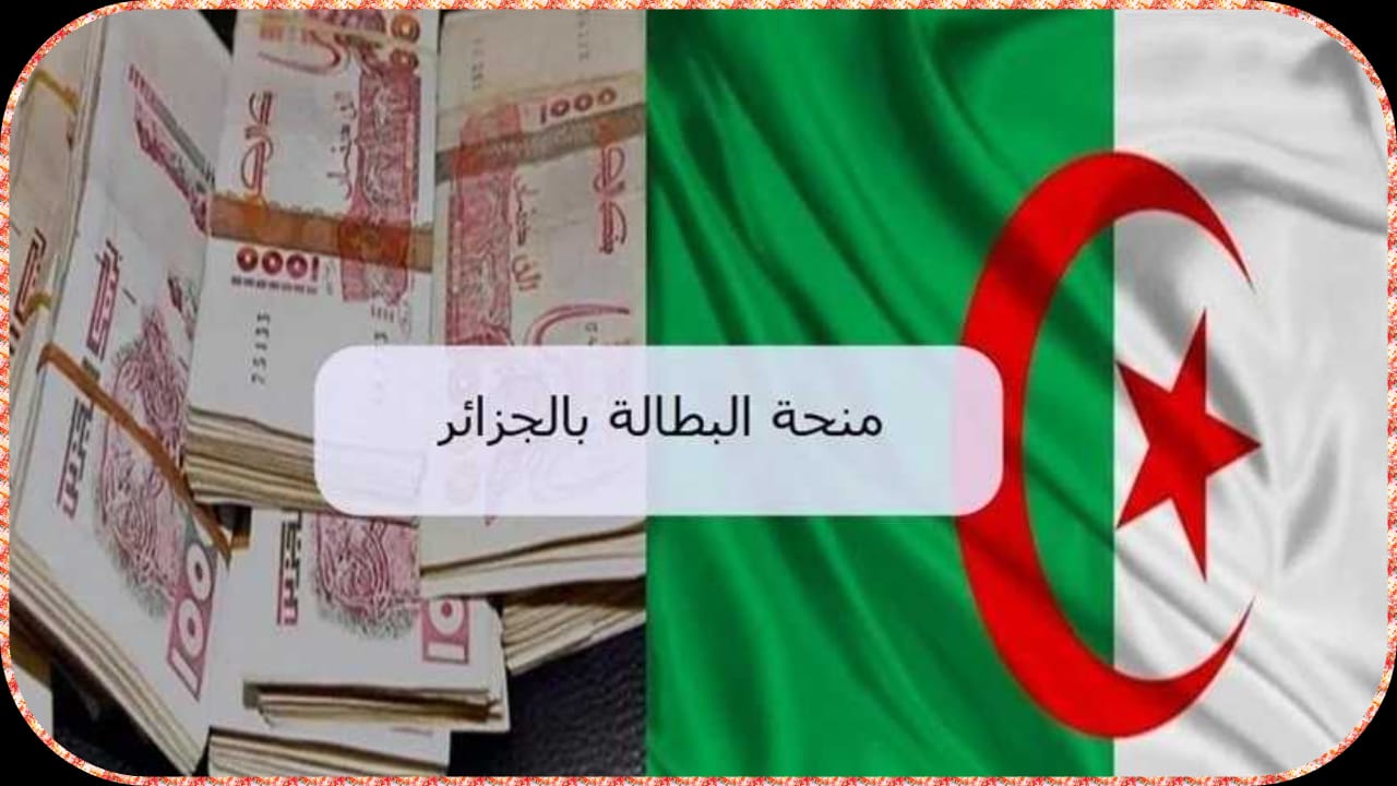 منحة البطالة في الجزائر: الأهمية والشروط وخطوات التسجيل