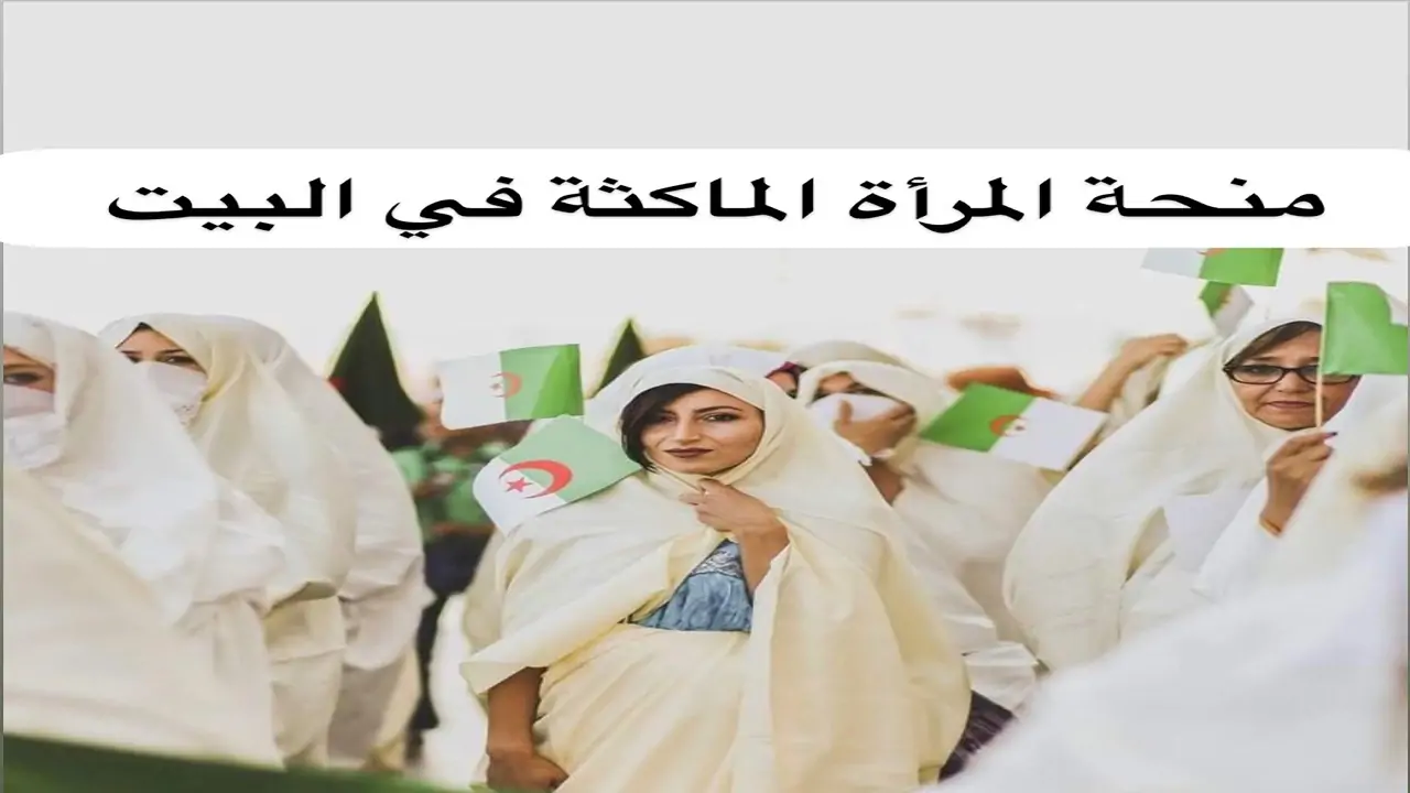 الوكالة الوطنية للتشغيل منحة المرأة الماكثة في المنزل