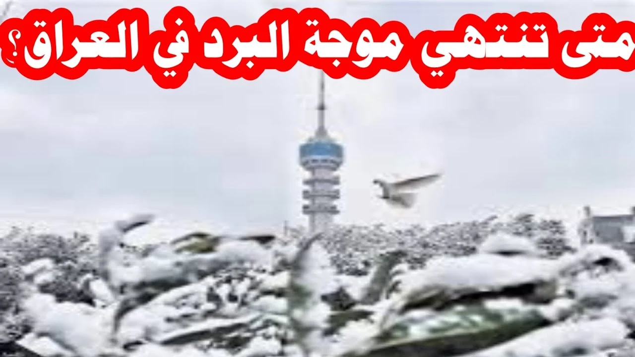 موعد انتهاء موجة البرد على العراق