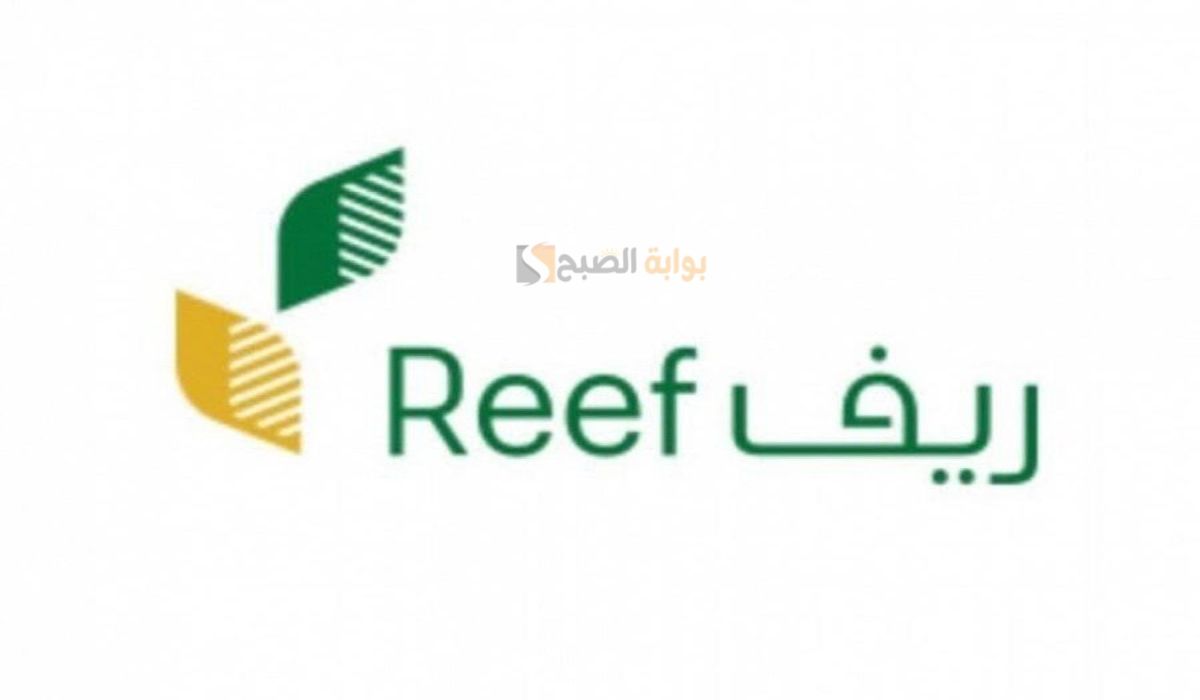 موعد صدور نتائج الأهلية في ريف