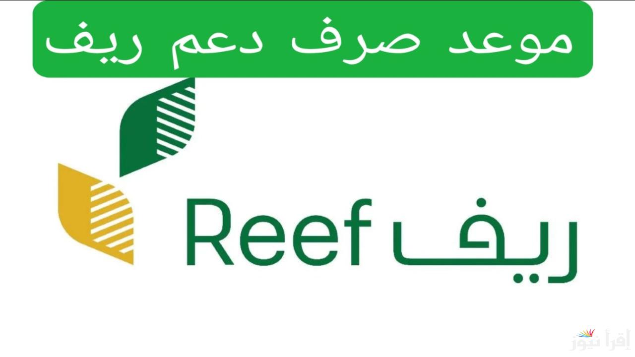 موعد صرف دعم ريف لشهر فبراير 2025