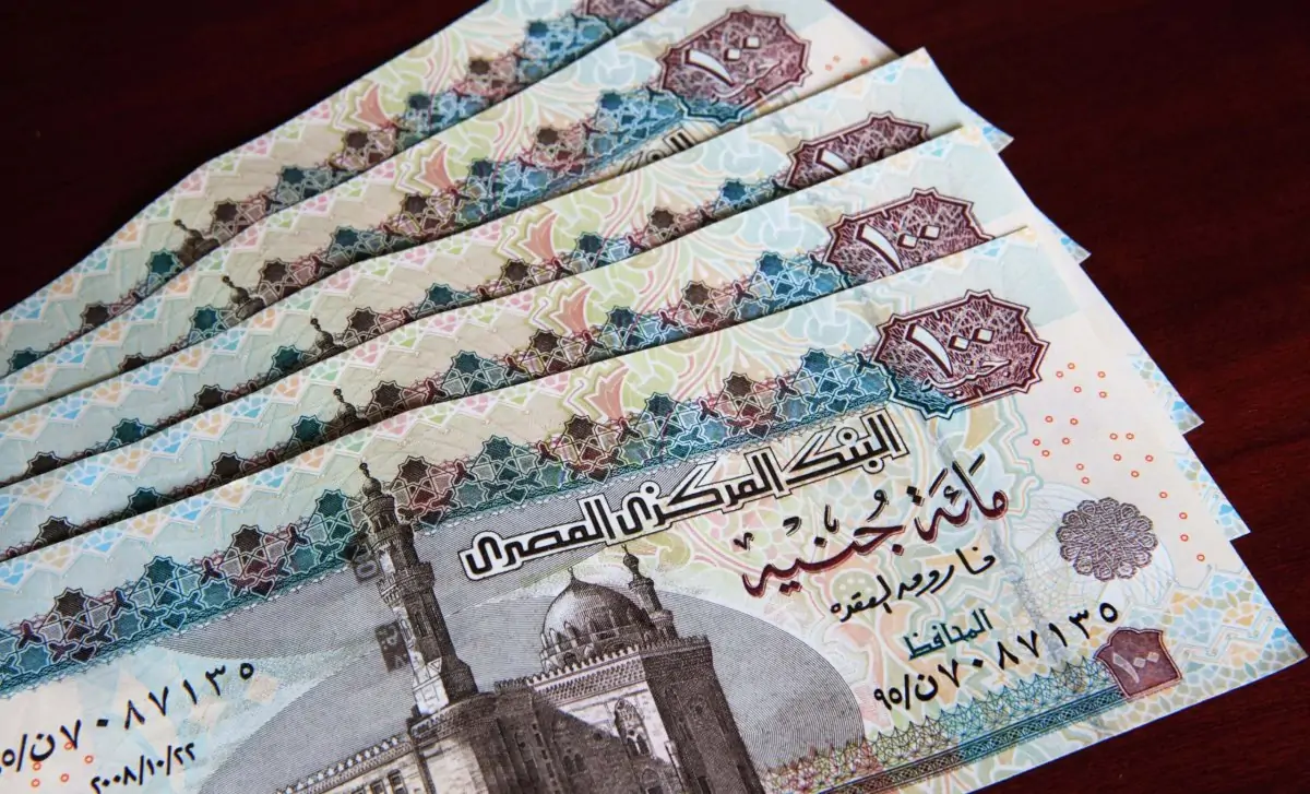 موعد صرف منحة العمالة الغير منتظمة 2025
