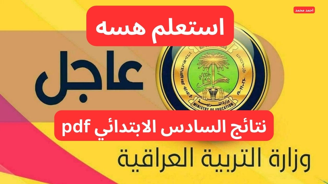 نتائج التمهيدي السادس الابتدائي 2025 عبر موقع نتائجنا والوزارة