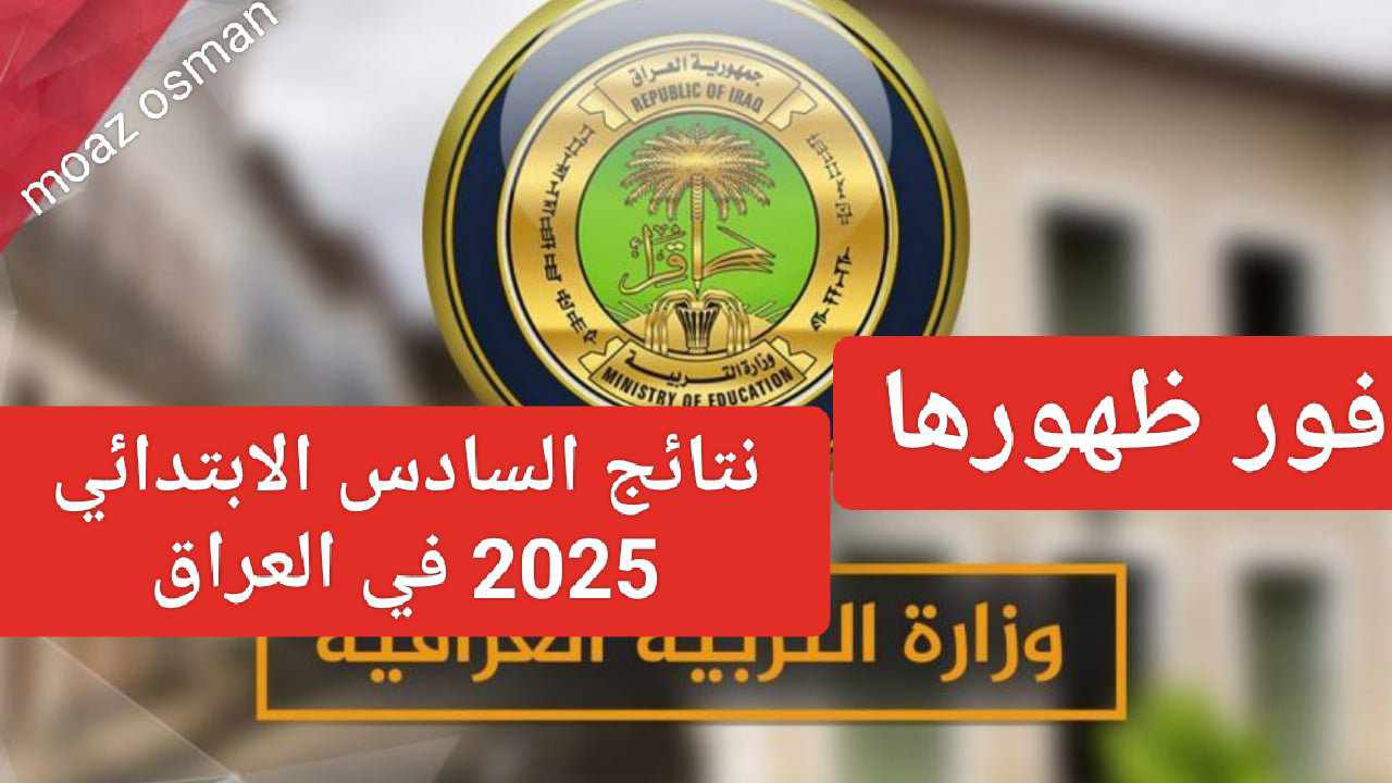 ٢٠٢٥٠٢٠٣ ١٩٥٩١٩