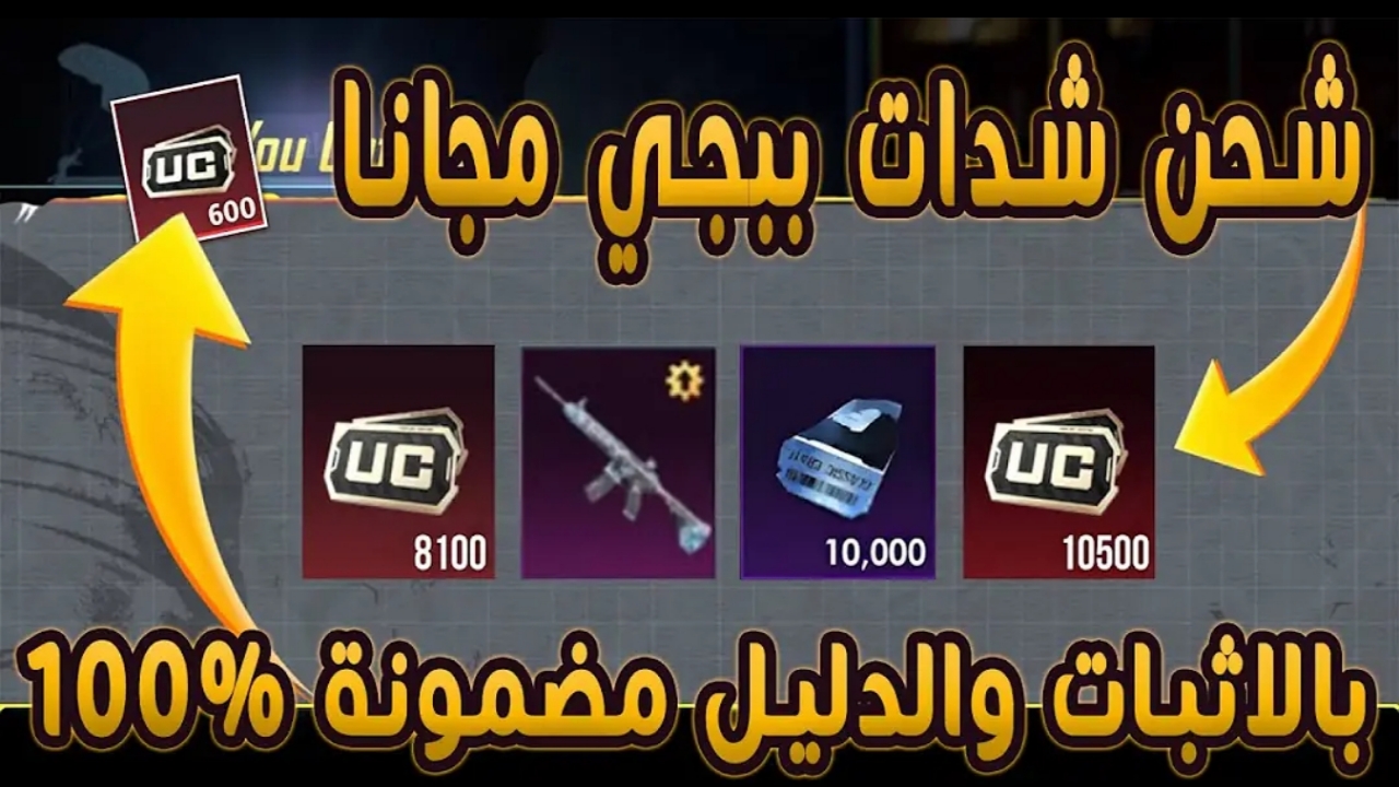 ٢٠٢٥٠٢٠٨ ١٣٣٥٠٢