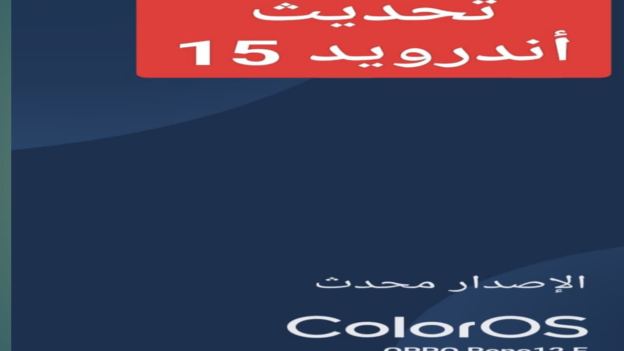 IMG 20250310 WA0007