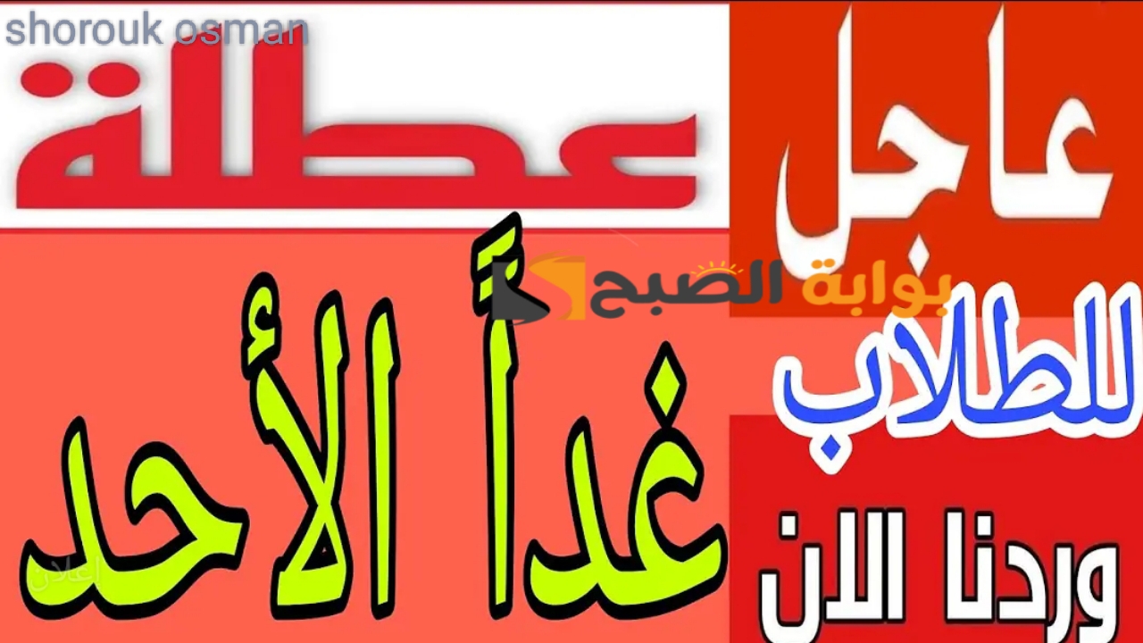 IMG ٢٠٢٥٠٣٠٨ ٢٣٢٦١٤