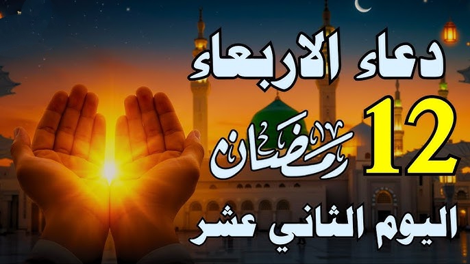 IMG ٢٠٢٥٠٣١٢ ١٦١٦٢٧