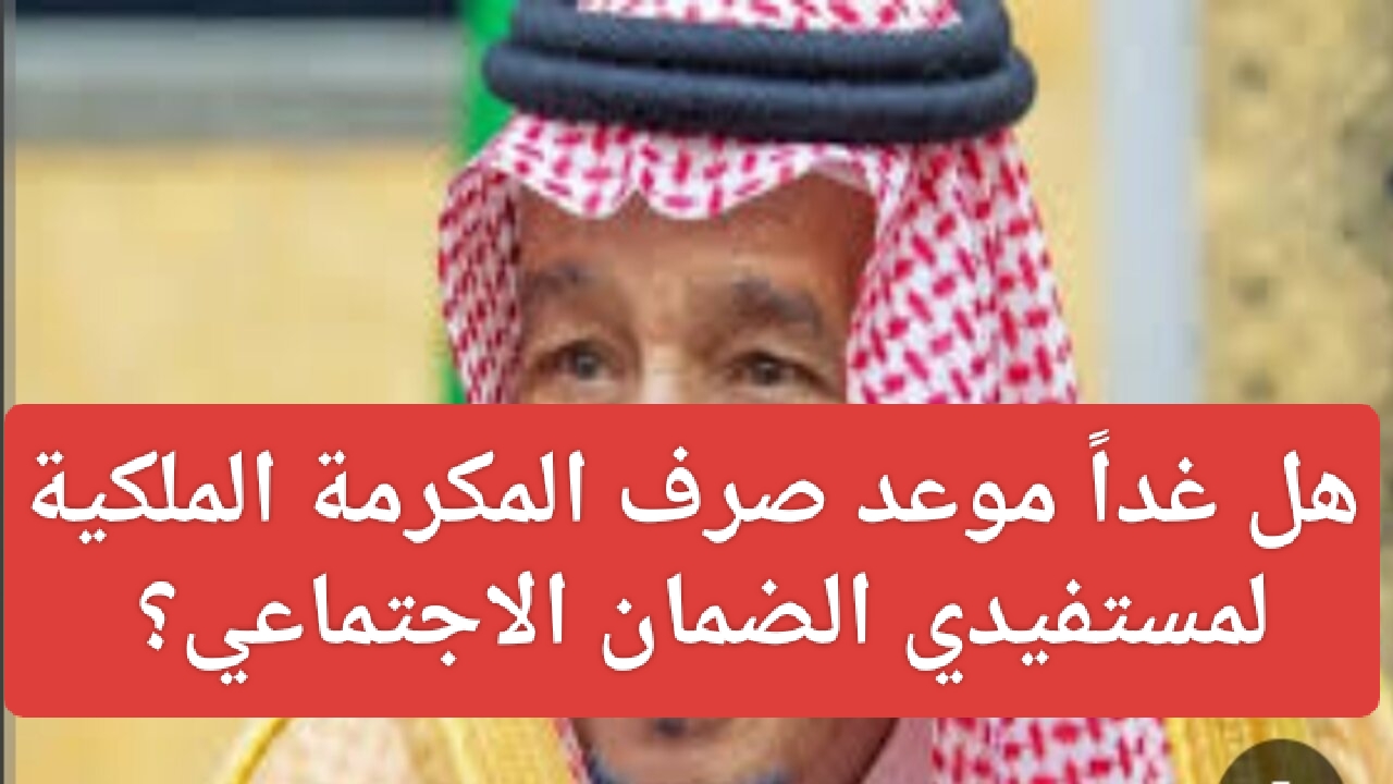 IMG ٢٠٢٥٠٣١٥ ١٩٣٧٥٠
