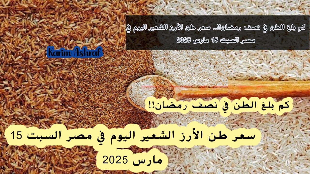 سعر طن الأرز الشعير اليوم في مصر السبت 15 مارس 2025