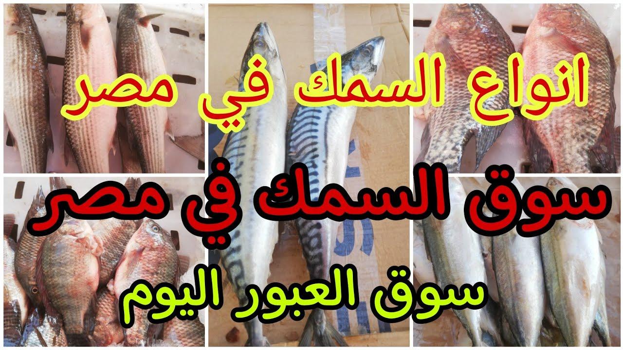 أسعار السمك والجمبري اليوم بسوق العبور الأربعاء 5 مارس 2025