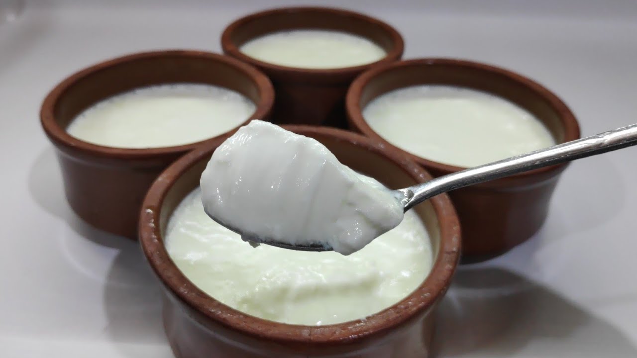 الزبادي 1