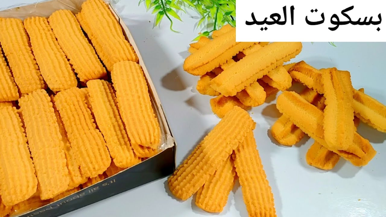بسكويت النشادر