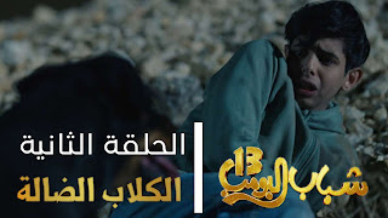 شباب البومب 13 الكلاب الضاله