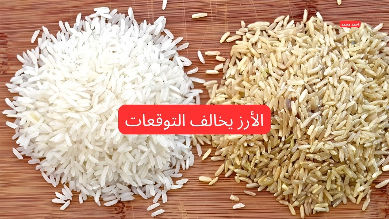 سعر طن الأرز الشعير اليوم الاثنين 3-3-2025 والأبيض