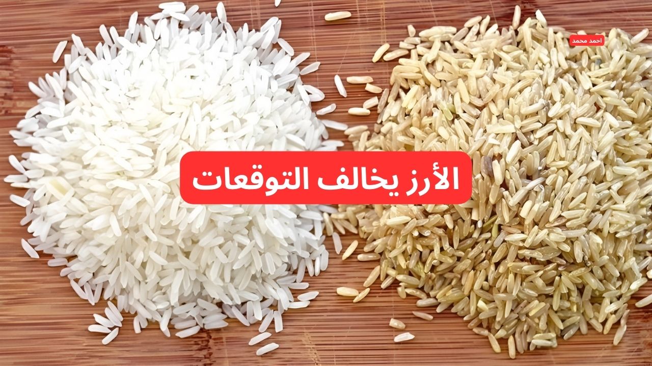 سعر طن الأرز الشعير اليوم السبت 1-3- 2025