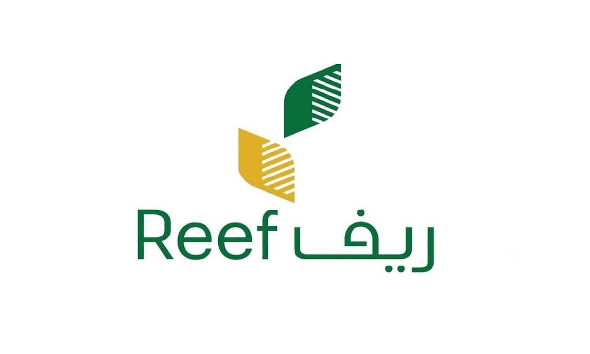 شروط الحصول على دعم ريف للأسر المنتجة