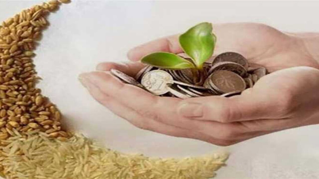 قيمة زكاة الفطر وفدية الصيام لهذا العام 2025