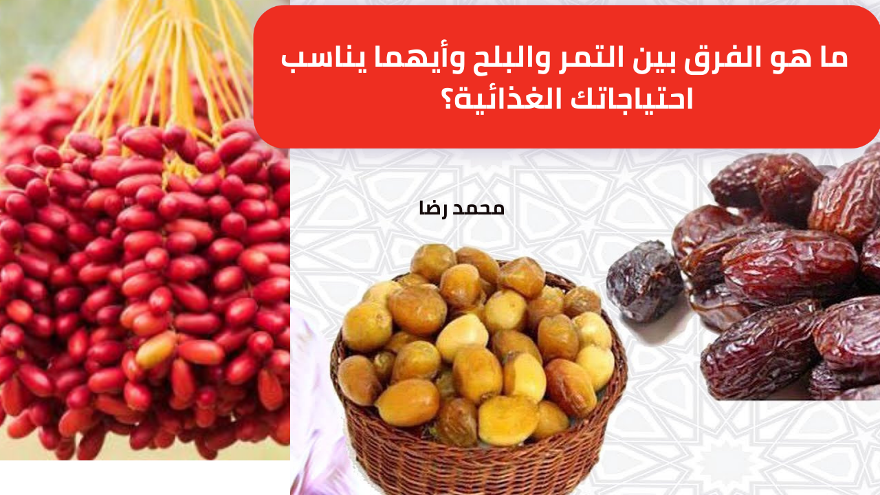 ما هو الفرق بين التمر والبلح وأيهما يناسب احتياجاتك الغذائية؟