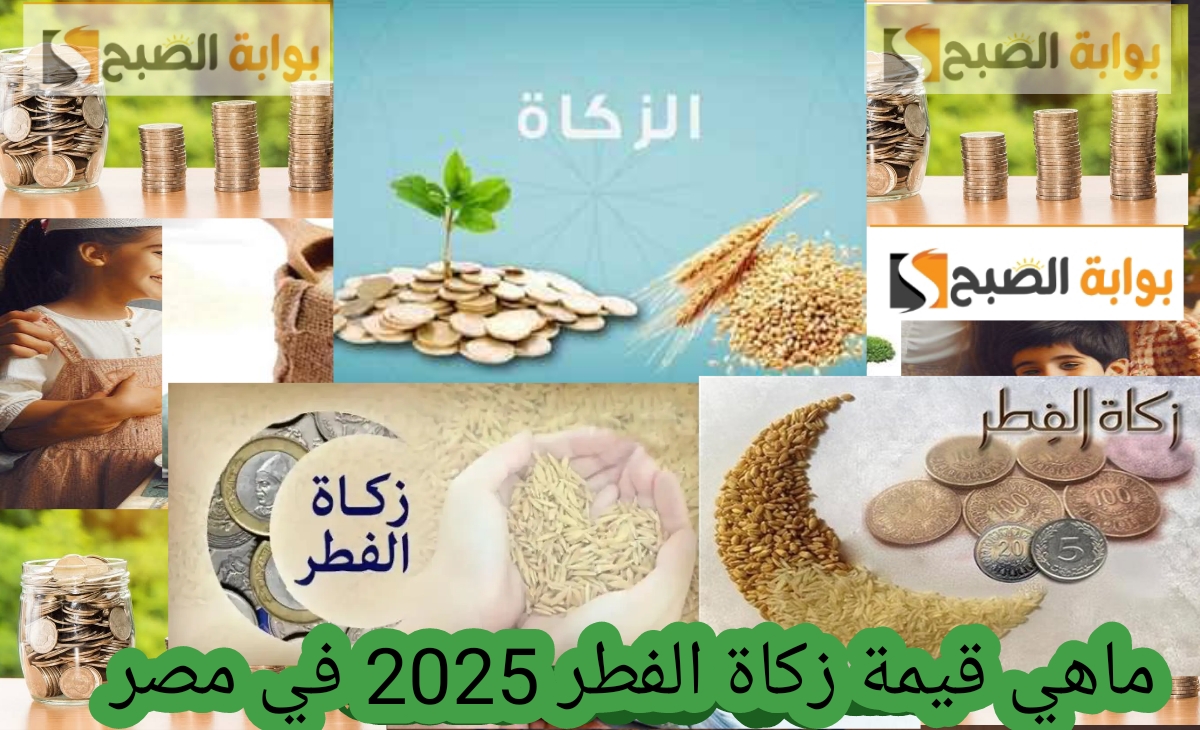 ماهي قيمة زكاة الفطر 2025 في مصر