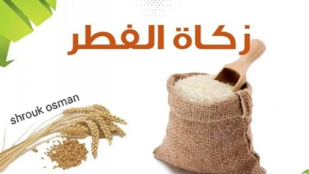 ٢٠٢٥٠٣١٤ ١٩٥٣٠٨