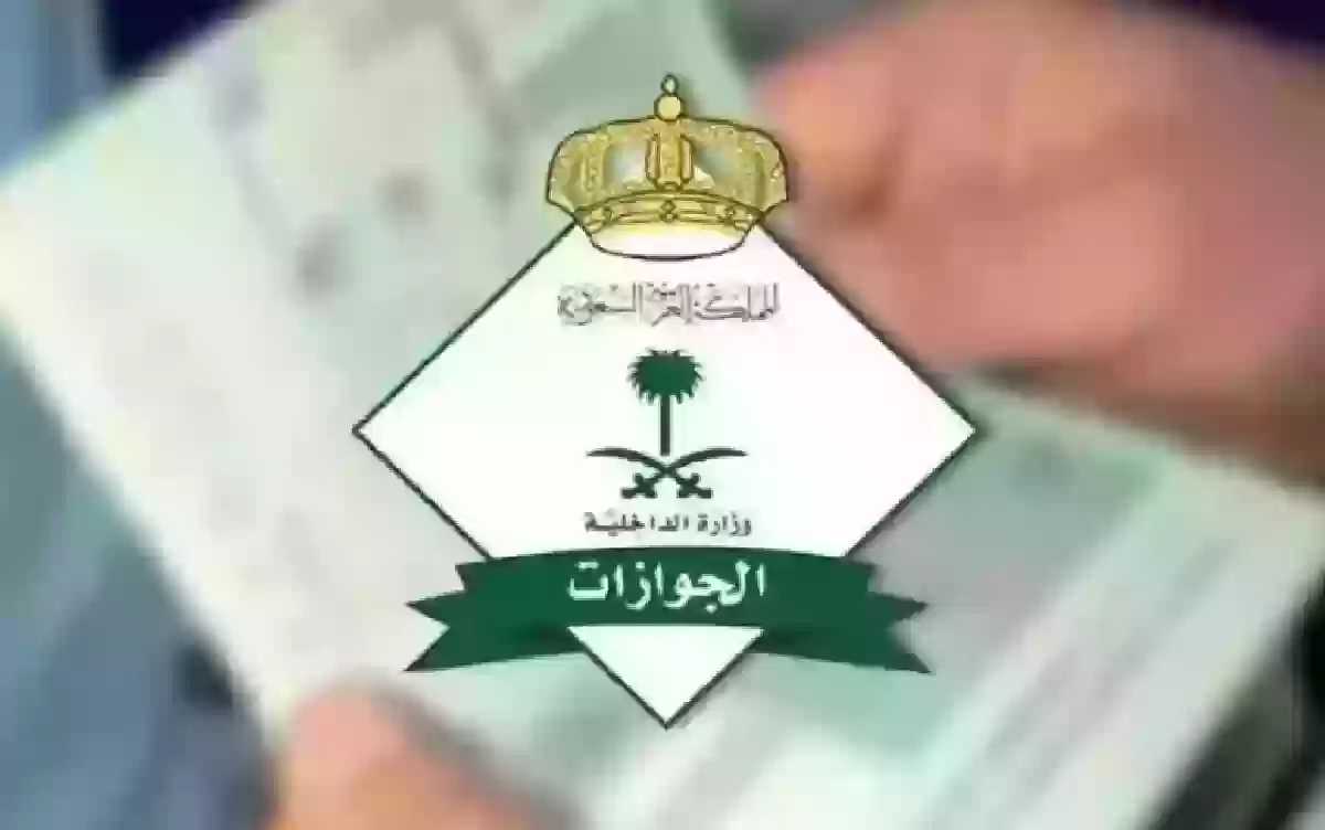 04 08 24 254419148