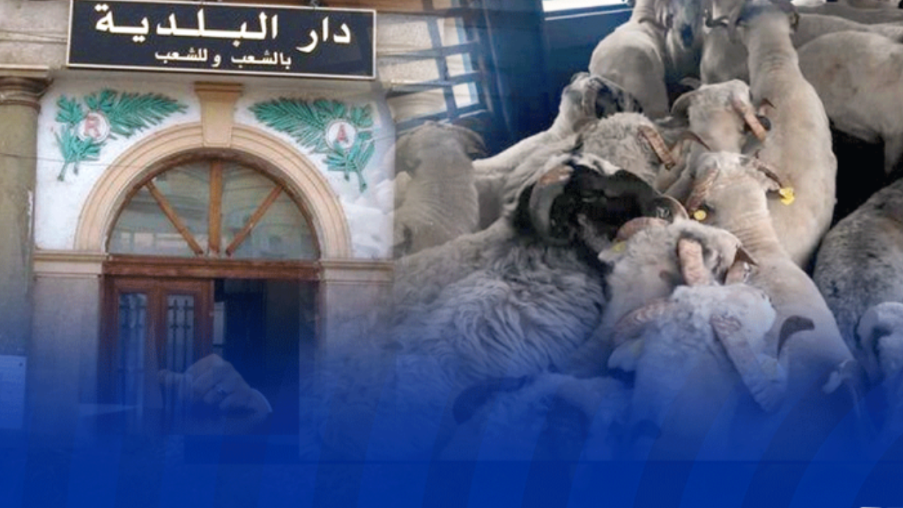 اقتاء الاضاحي