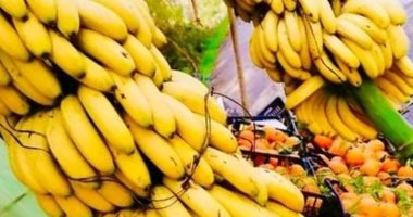 أسعار الفاكهة في الأقصر اليوم: الموز بـ40 جنيه (21 يونيو 2025)