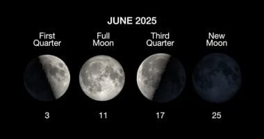 202506120346464646