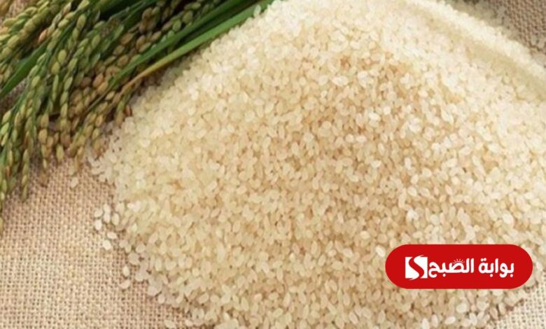 سعر طن الارز الشعير اليوم